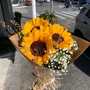 WhatsApp Image 2024-06-24 at 17.36.31